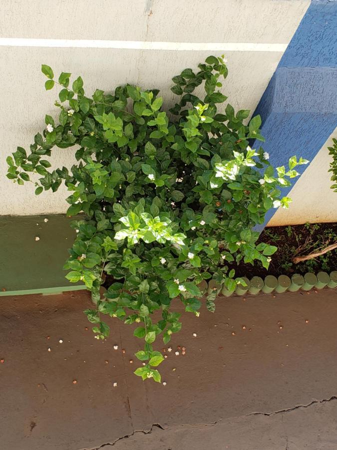 Hotel Flamboia Araraquara Luaran gambar